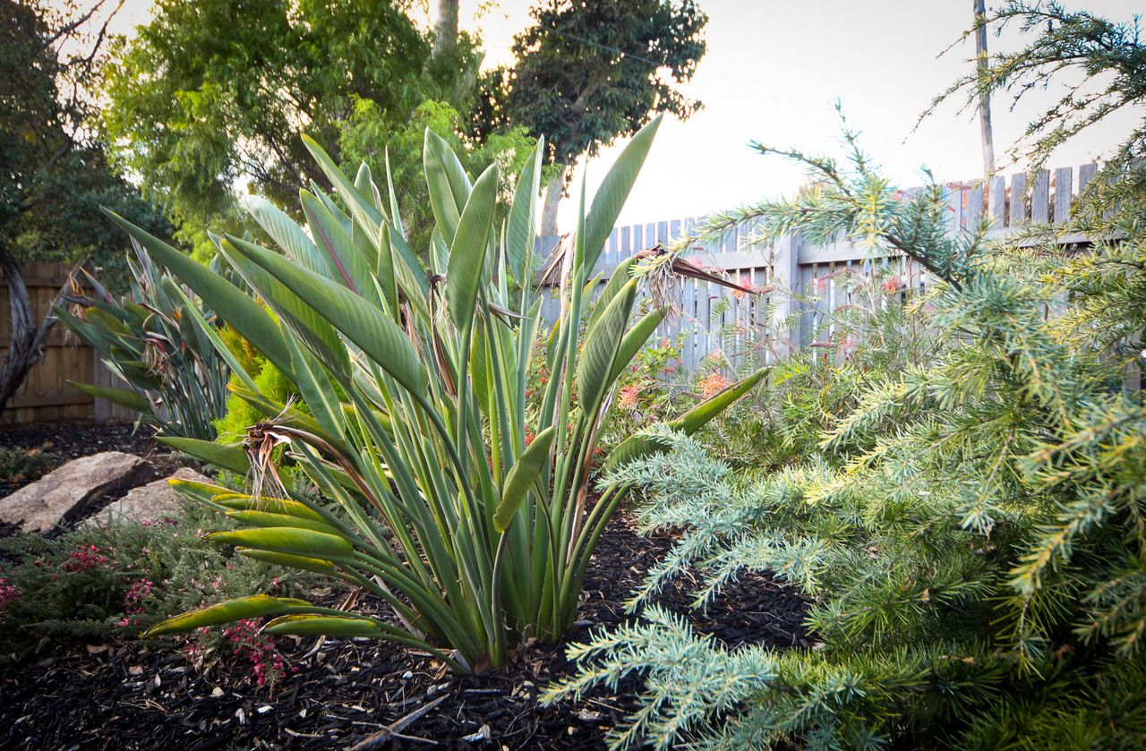 Seascape of Flinders Photo 20