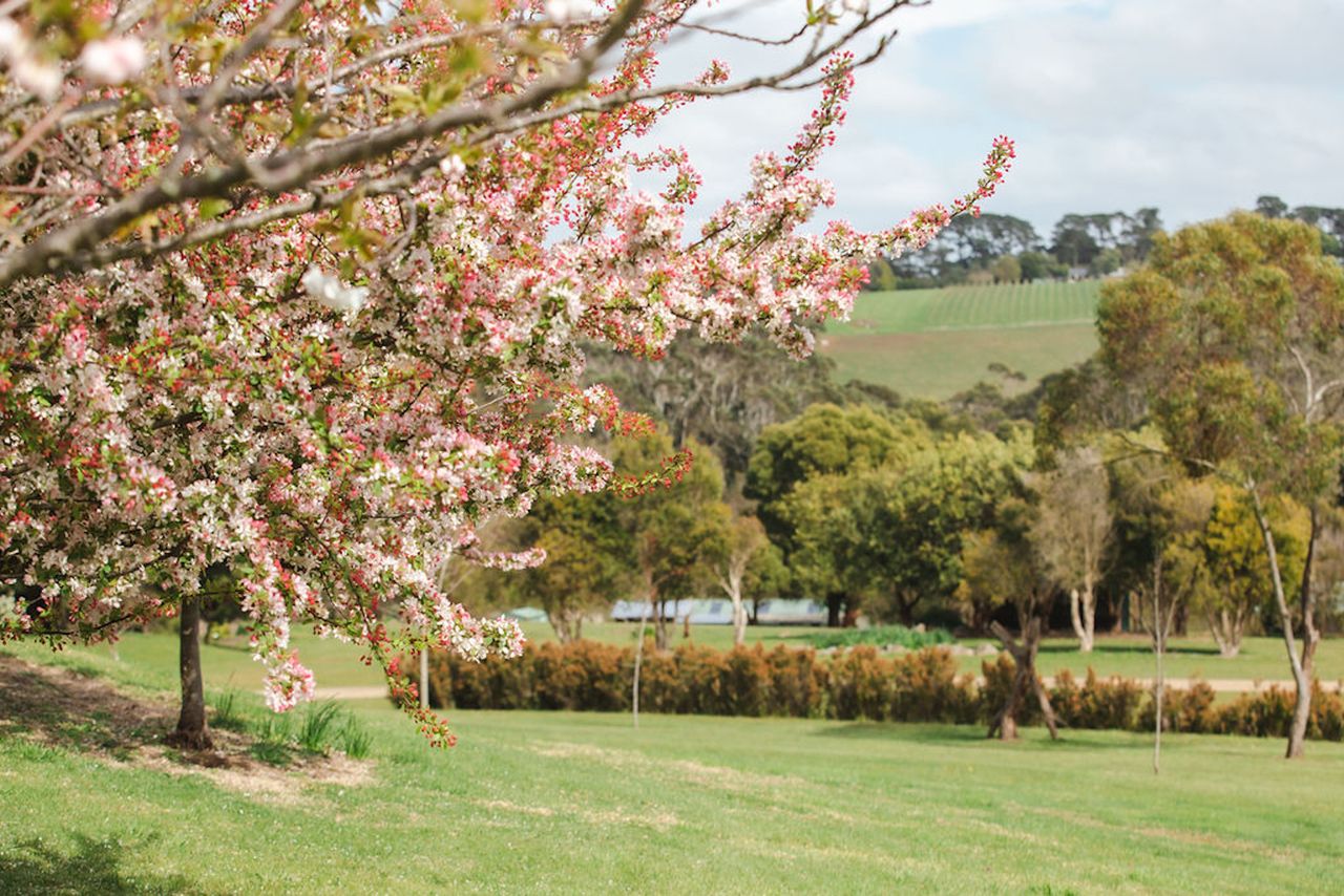 The Lakehouse Photo 21