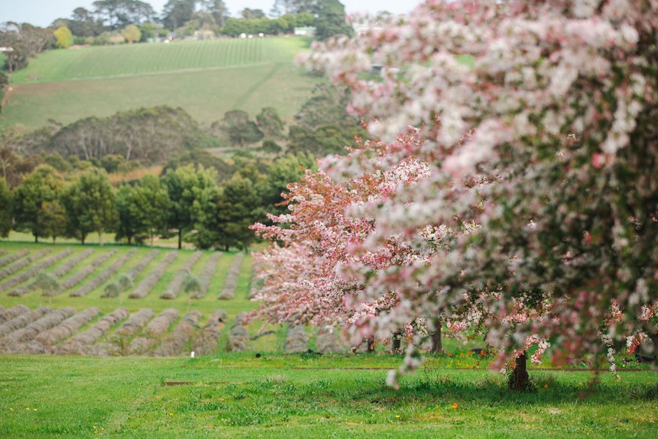 The Lakehouse Photo 18