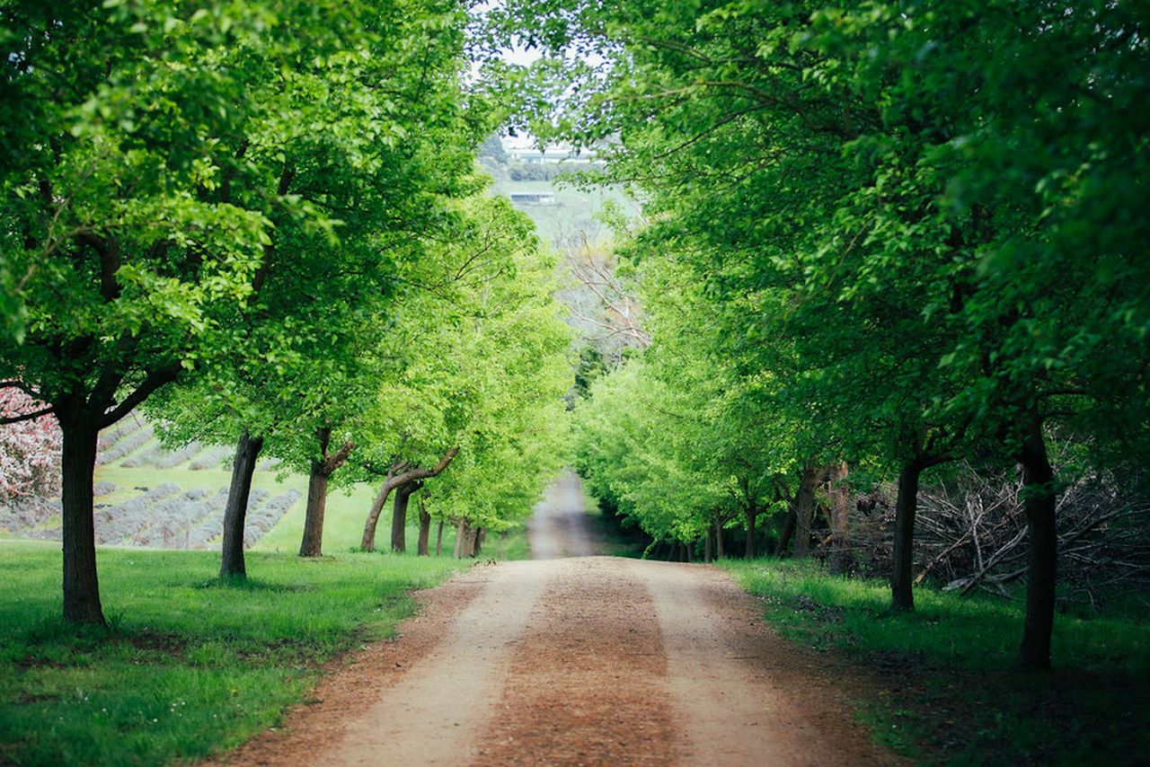 The Lakehouse Photo 19