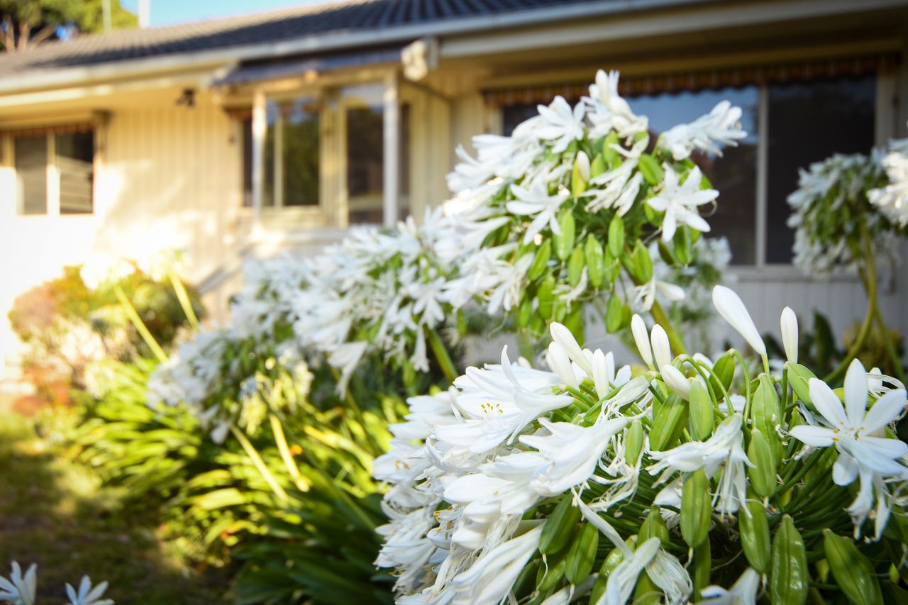 The View in Shoreham Photo 26