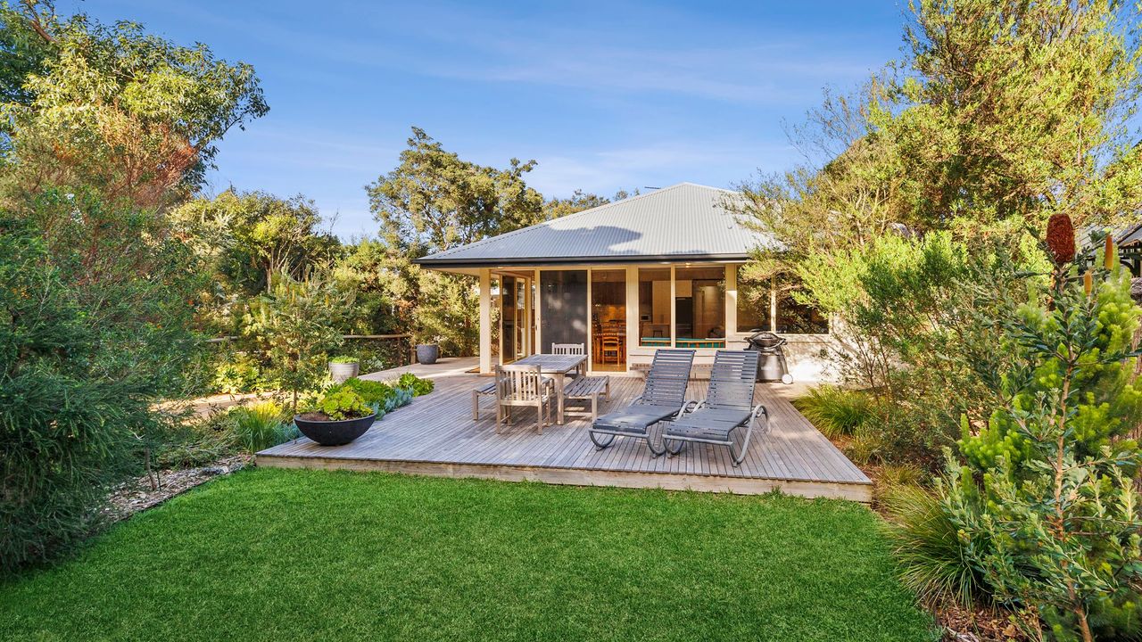 Alexander in Old Lonnie