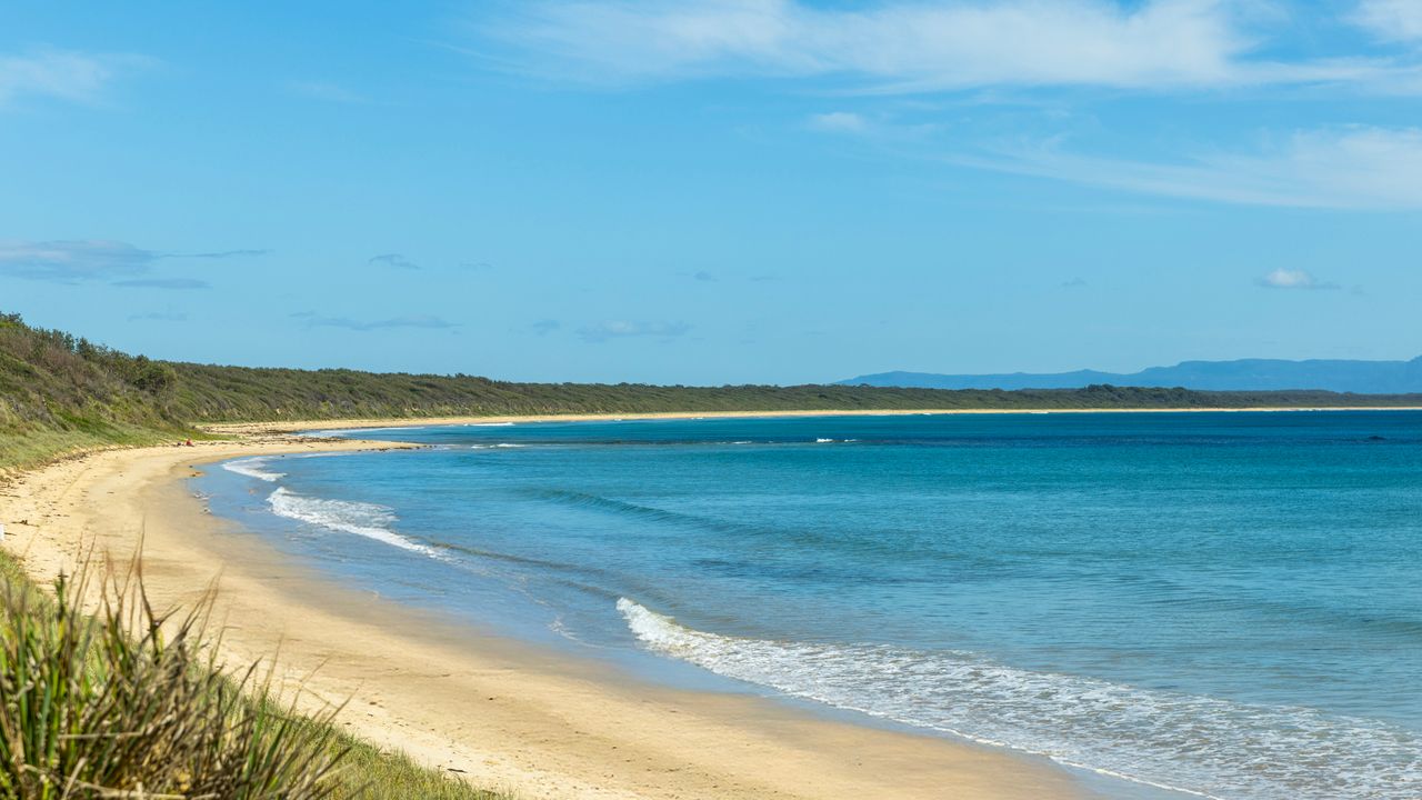Salty Dog – Pet Friendly – 10 Mins Walk to Beach