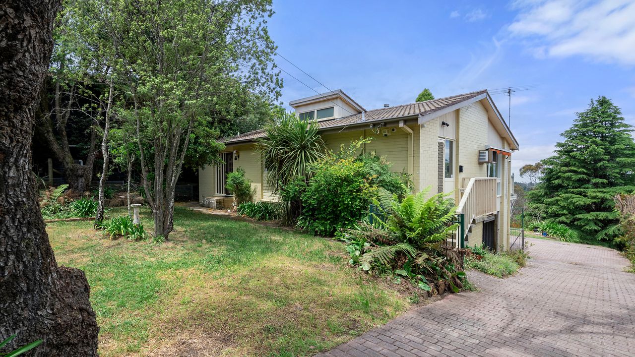 Narrow Neck Hideaway & Studio