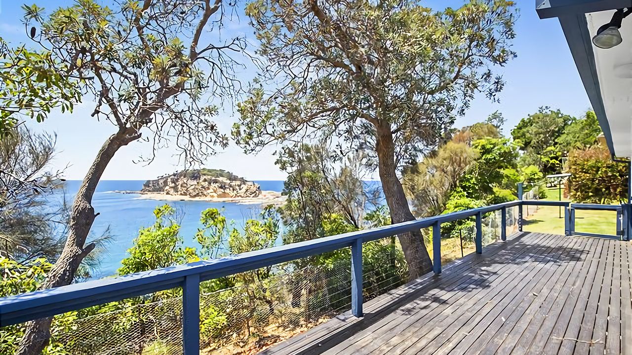 King of the World Rosedale