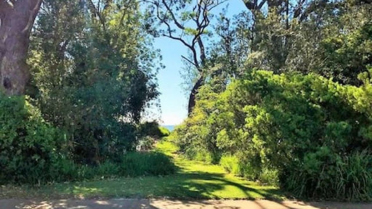 On Collingwood Beach by Book Jervis Bay – ON THE BIKEPATH TO HUSKY