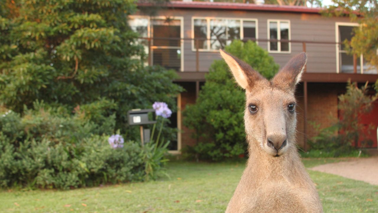 Sec57 – Jan’s Retreat by Experience Jervis Bay