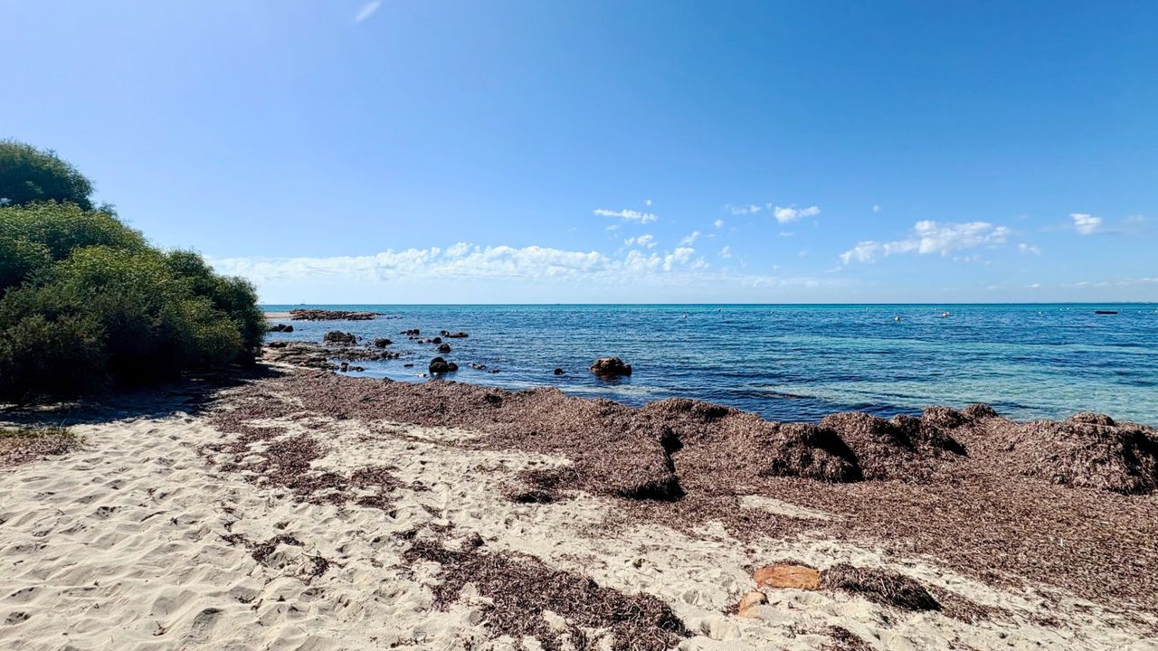 Zennor House – Busselton