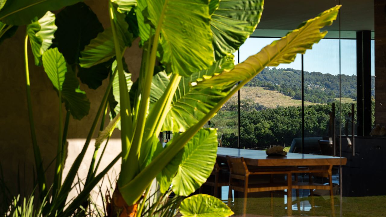 Soma Byron Bay