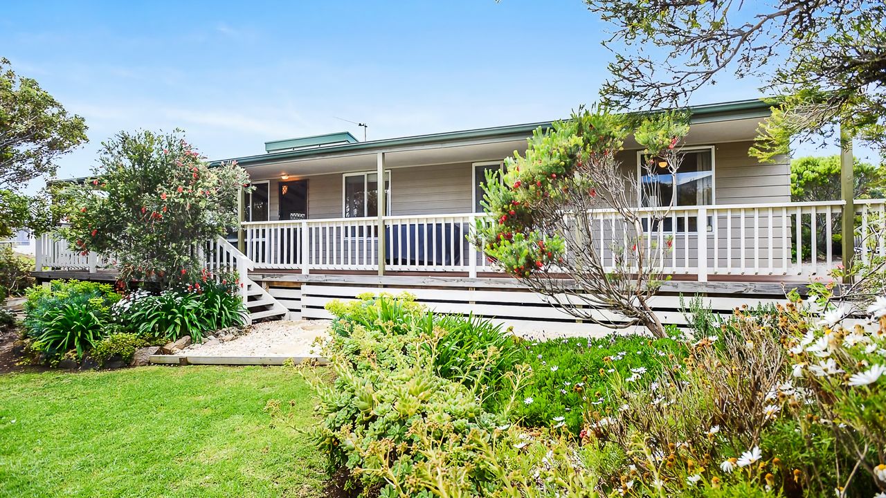 Welcome to Blue Citrus