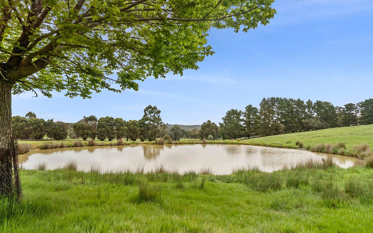 The Estate