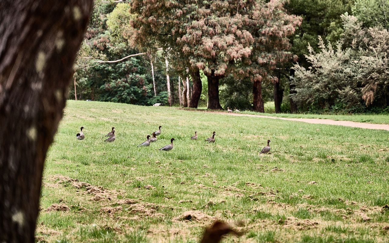 Boatshed Villas by Istana – Green Door