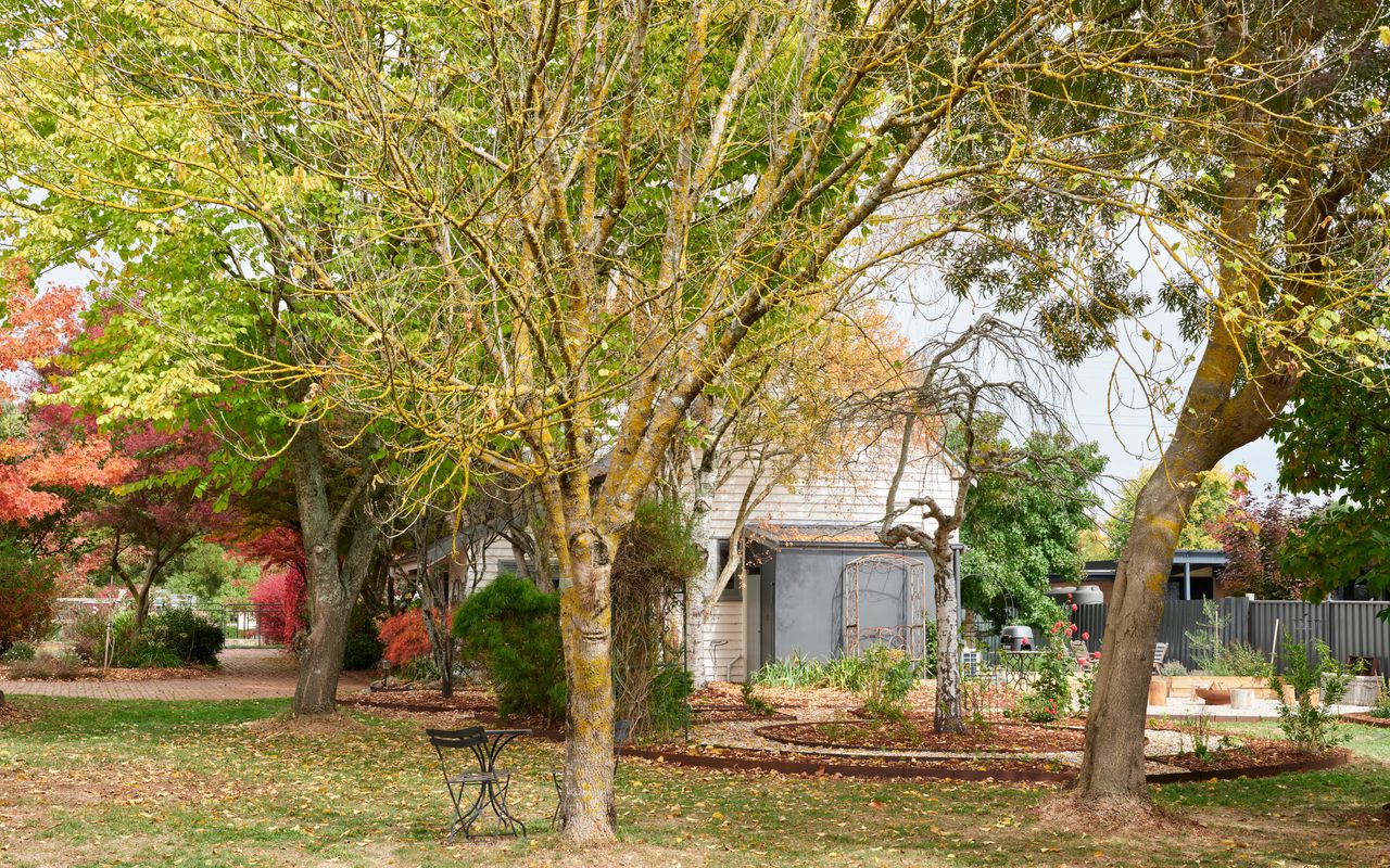 The Old Trentham Church