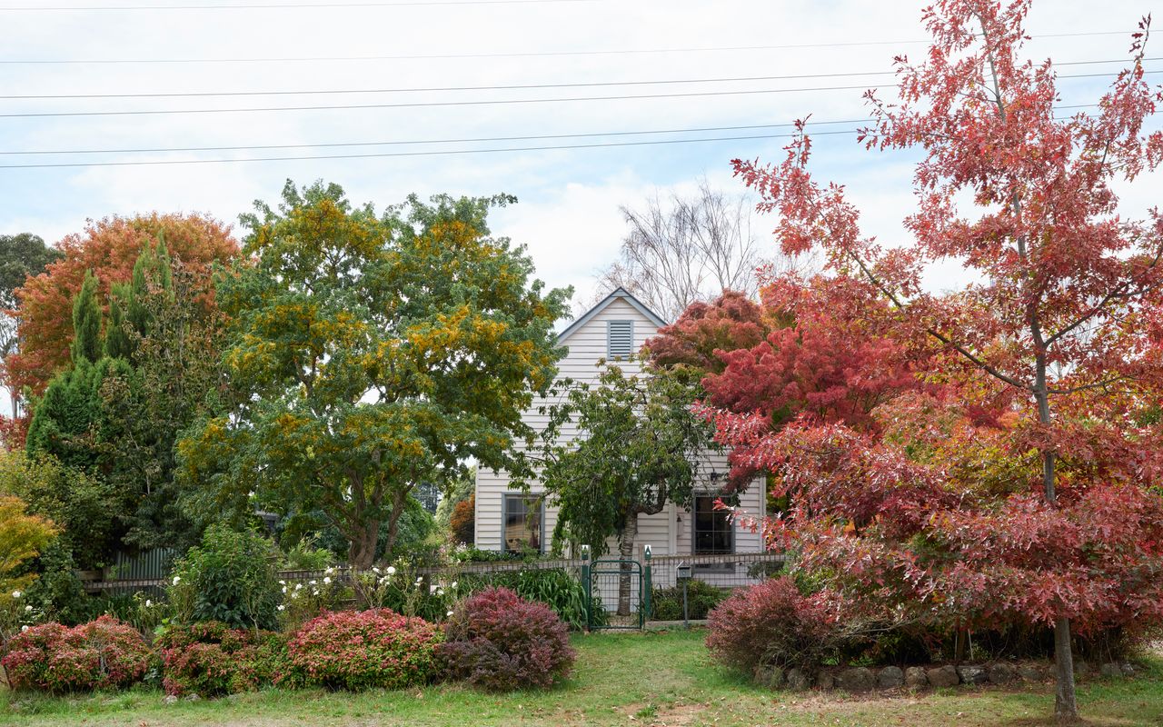 The Old Trentham Church