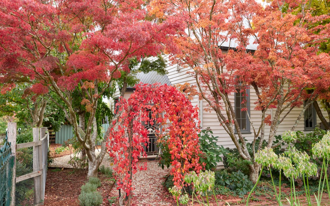 The Old Trentham Church
