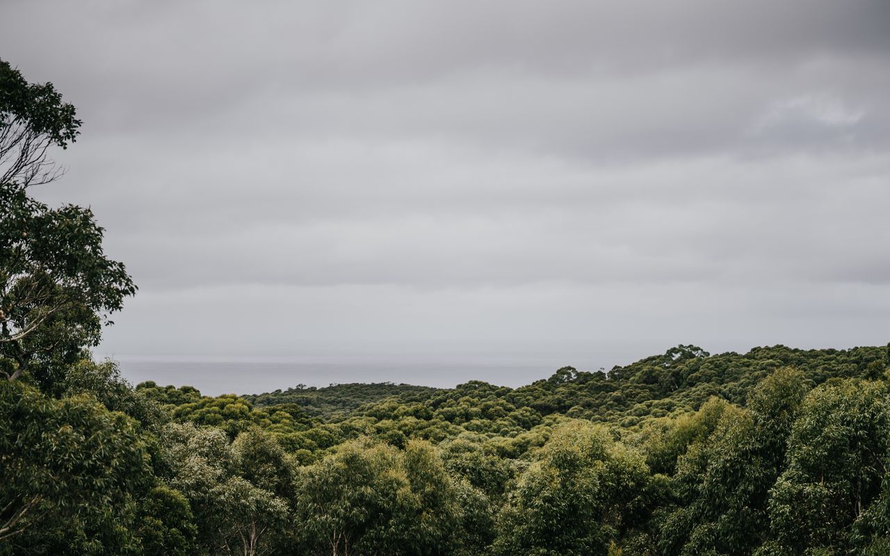 Alkina Lodge Namu