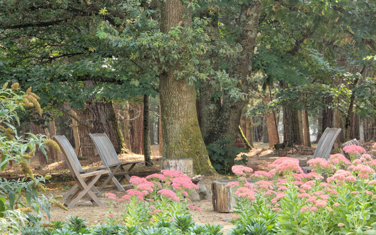 The Church at Lyonville