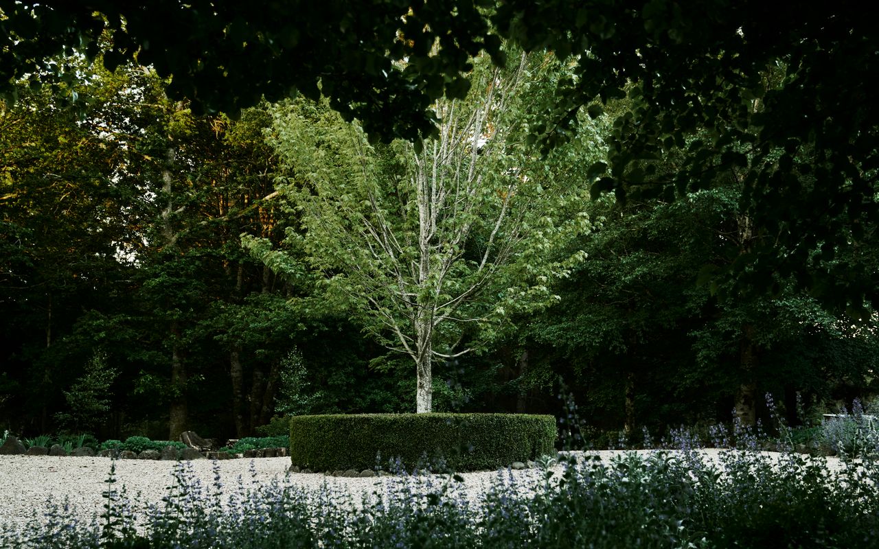 The Church at Lyonville