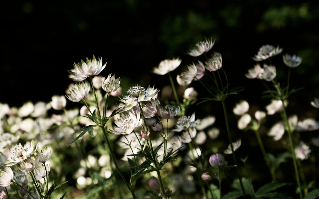 The Church at Lyonville