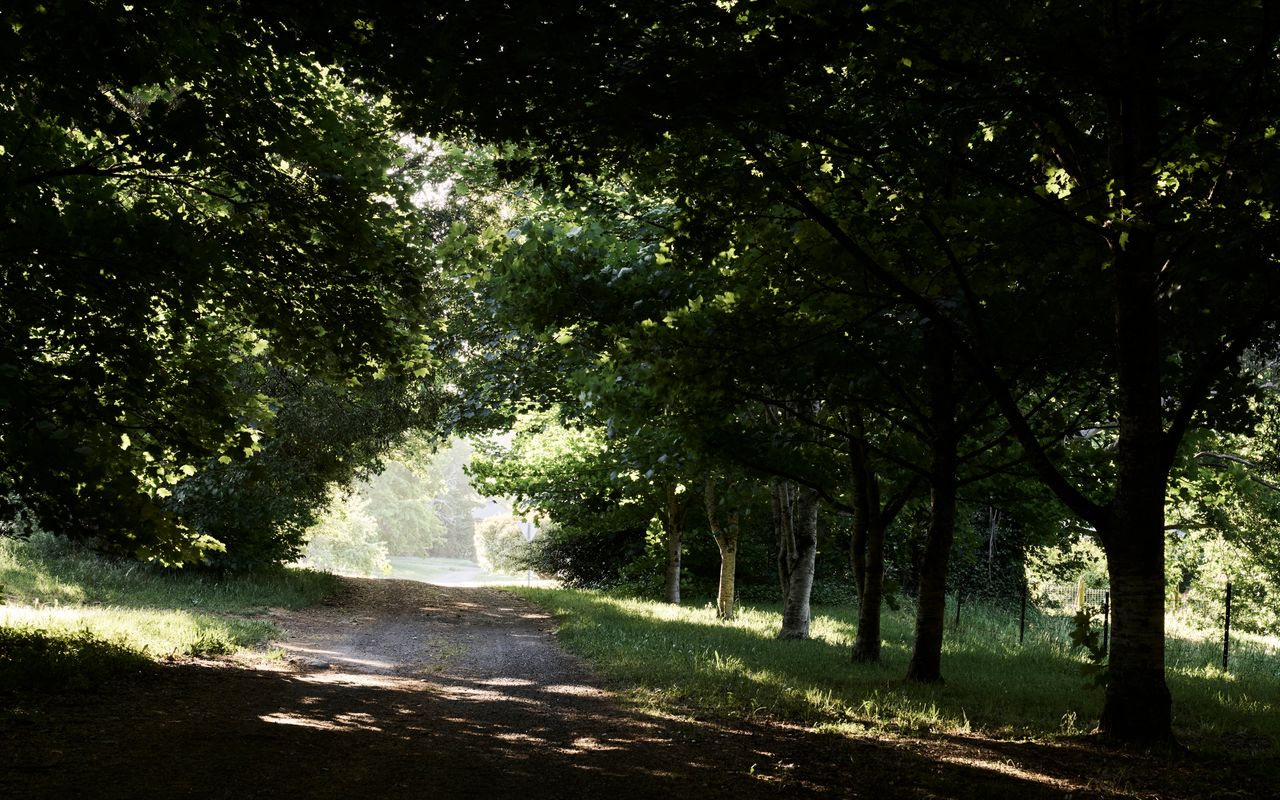 The Church at Lyonville