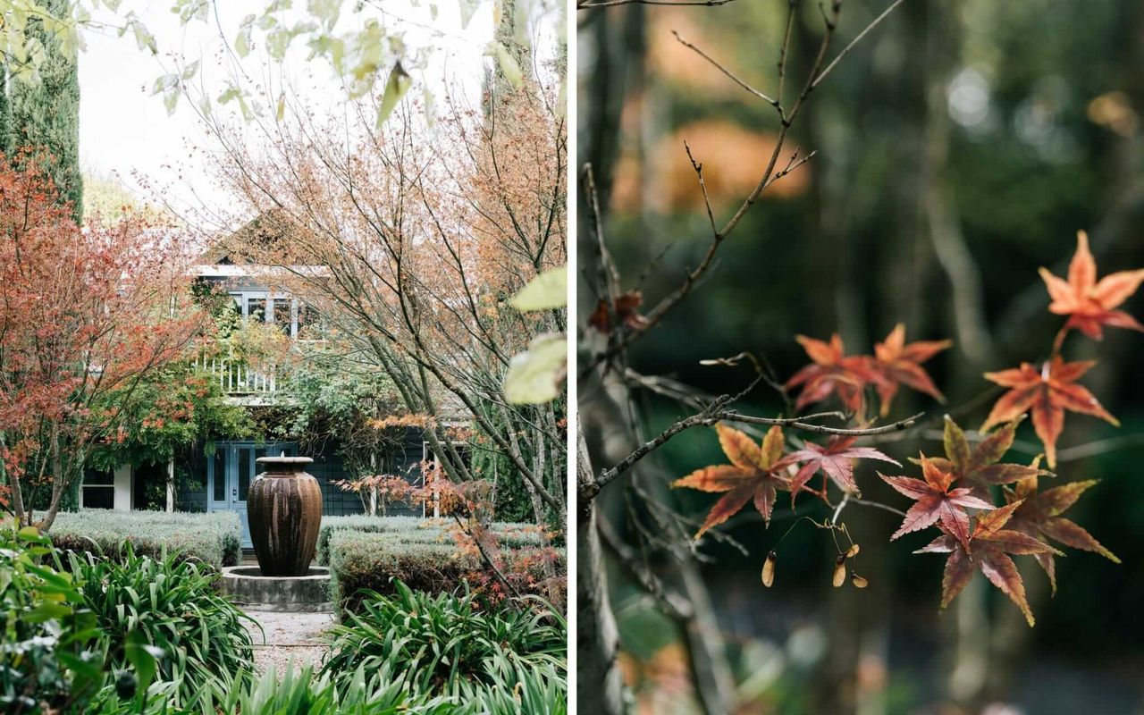 The Garden House