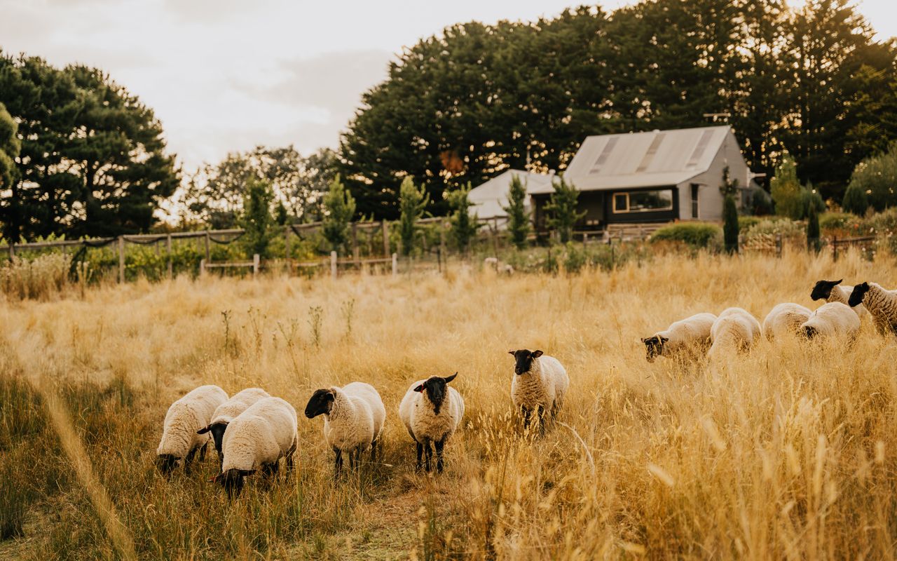 The Barn at Crofters Fold