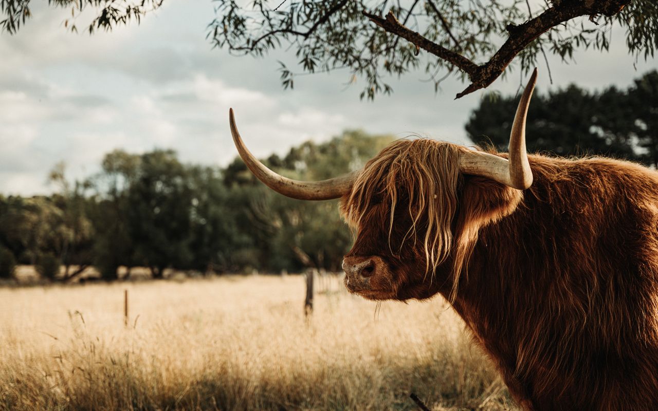 The Barn at Crofters Fold