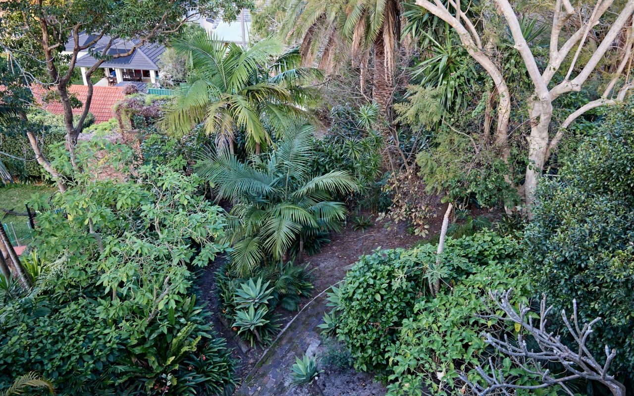 Coogee Treetops ISYD
