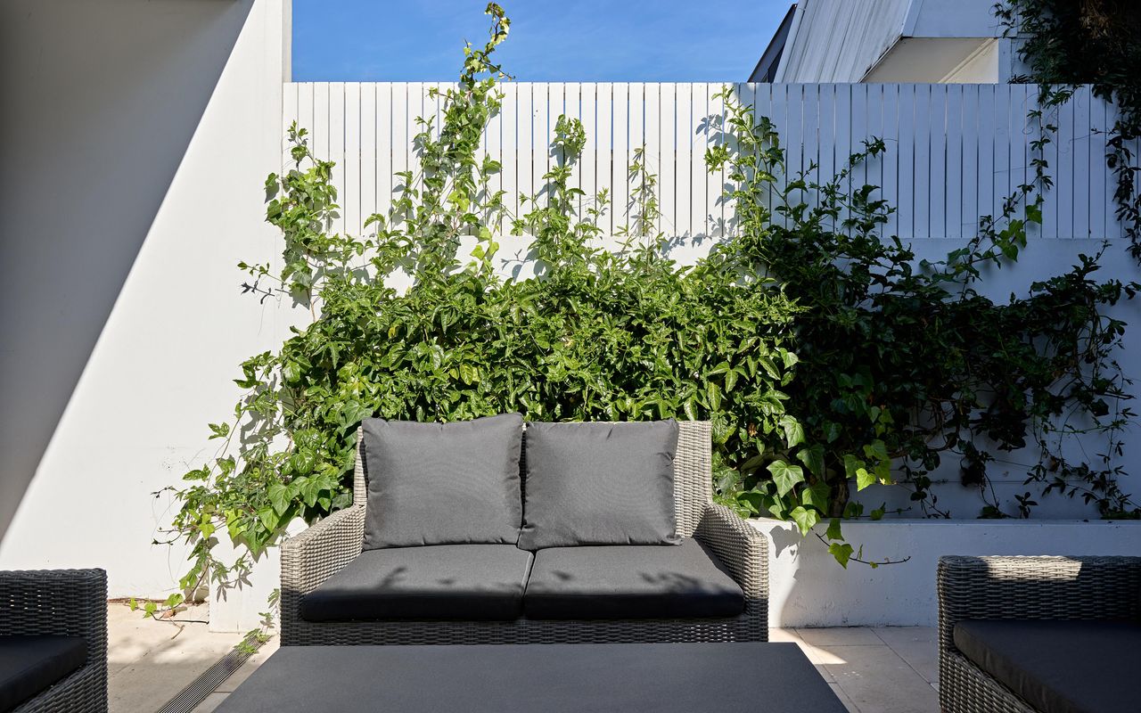 Royal Redfern ISYD