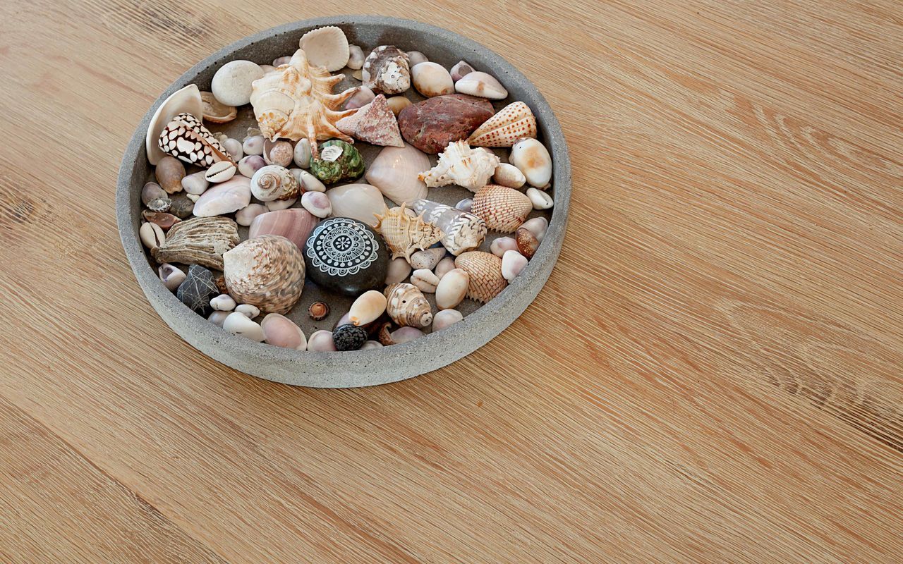 Scandi Bondi ISYD
