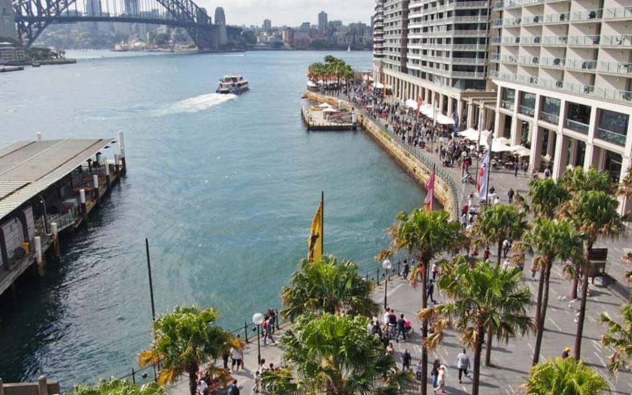 City Chic, Potts Point I90