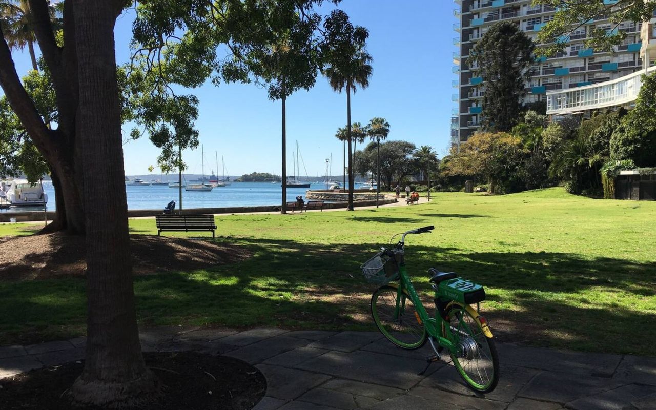 Discover the charm of Potts Point's vibrant community.
