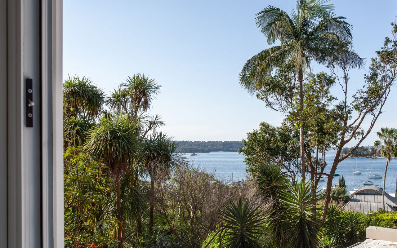 Dazzling Diamond, Point Piper ISYD