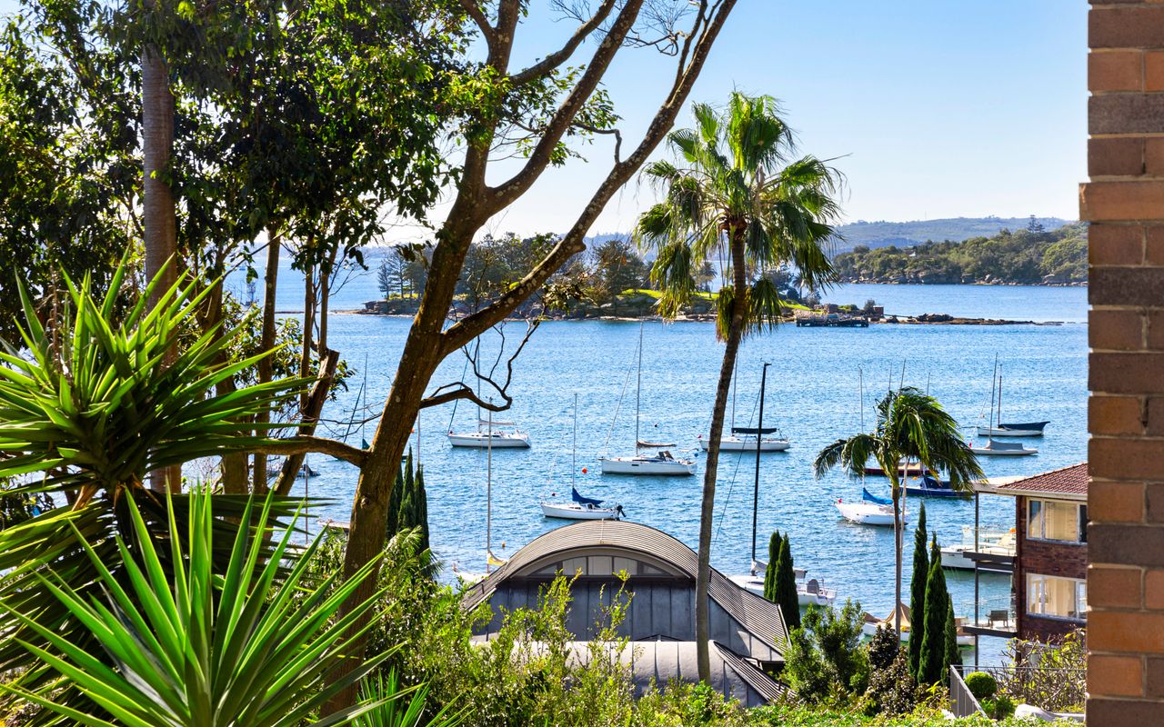 Dazzling Diamond, Point Piper ISYD