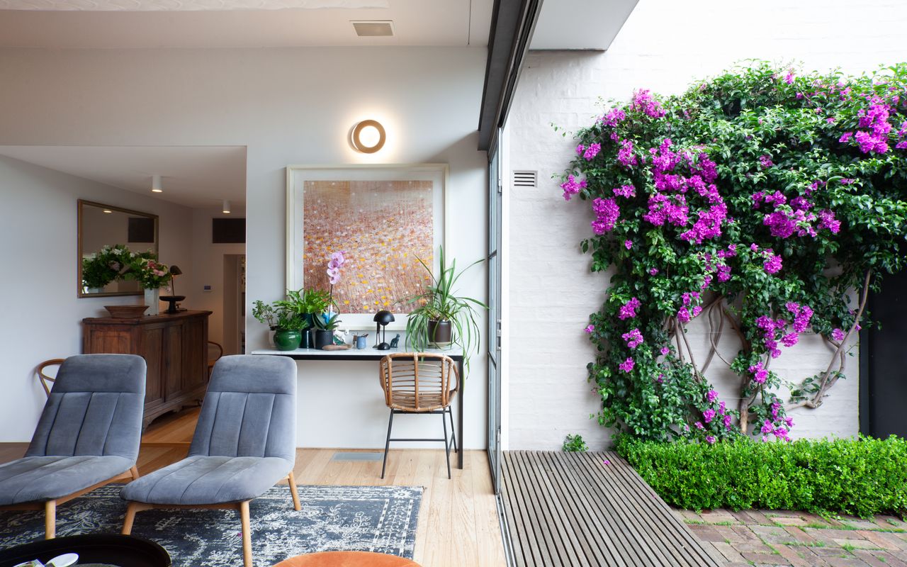 The Secret Garden City Oasis IH