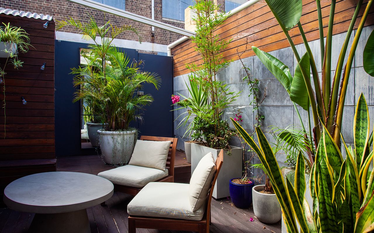 Urban Haven, Surry Hills ISYD
