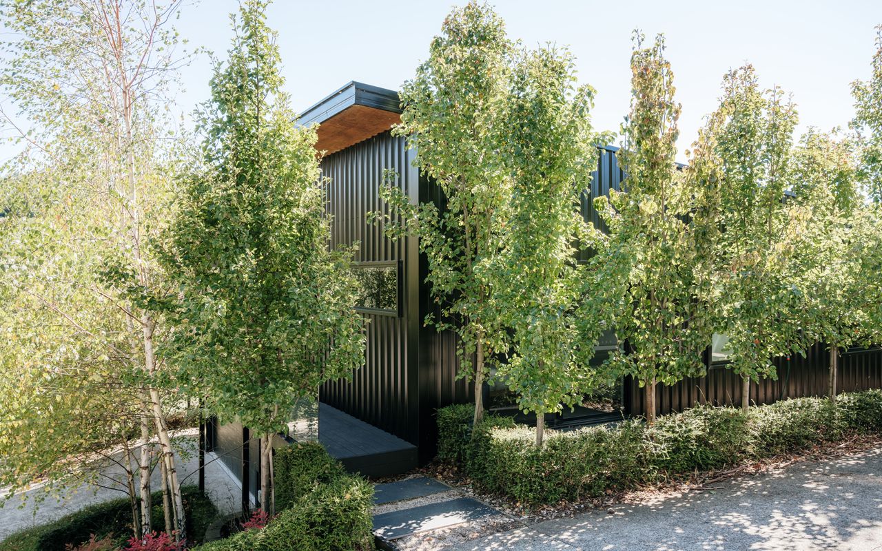 Tree Top Haven ITAS