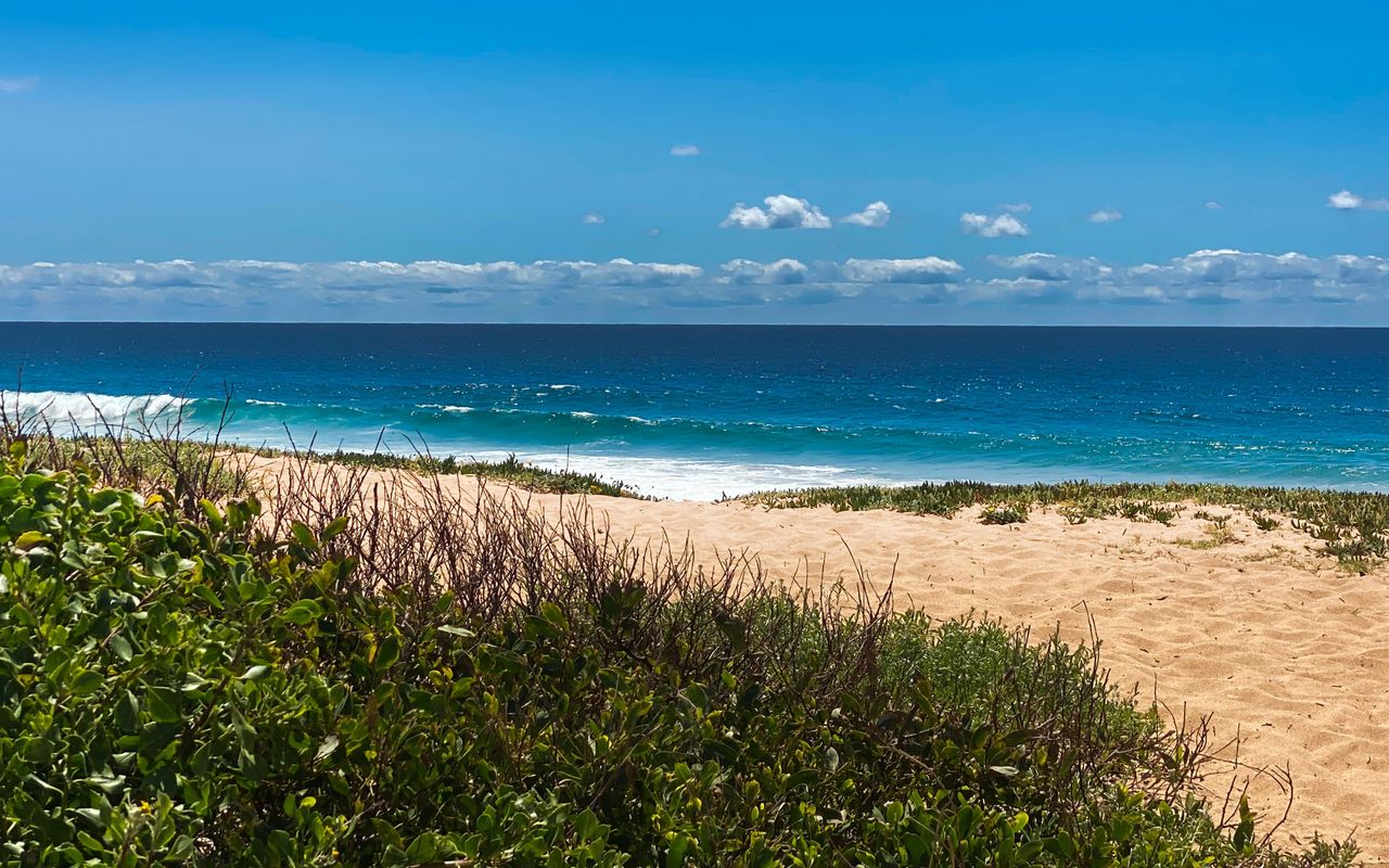 Paradise Escape Narrabeen IH