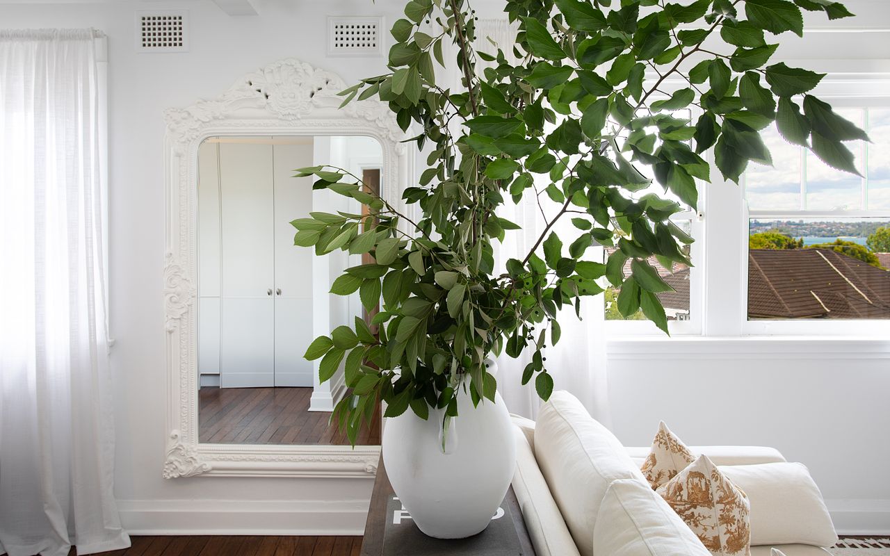 Deco Bay, Double Bay