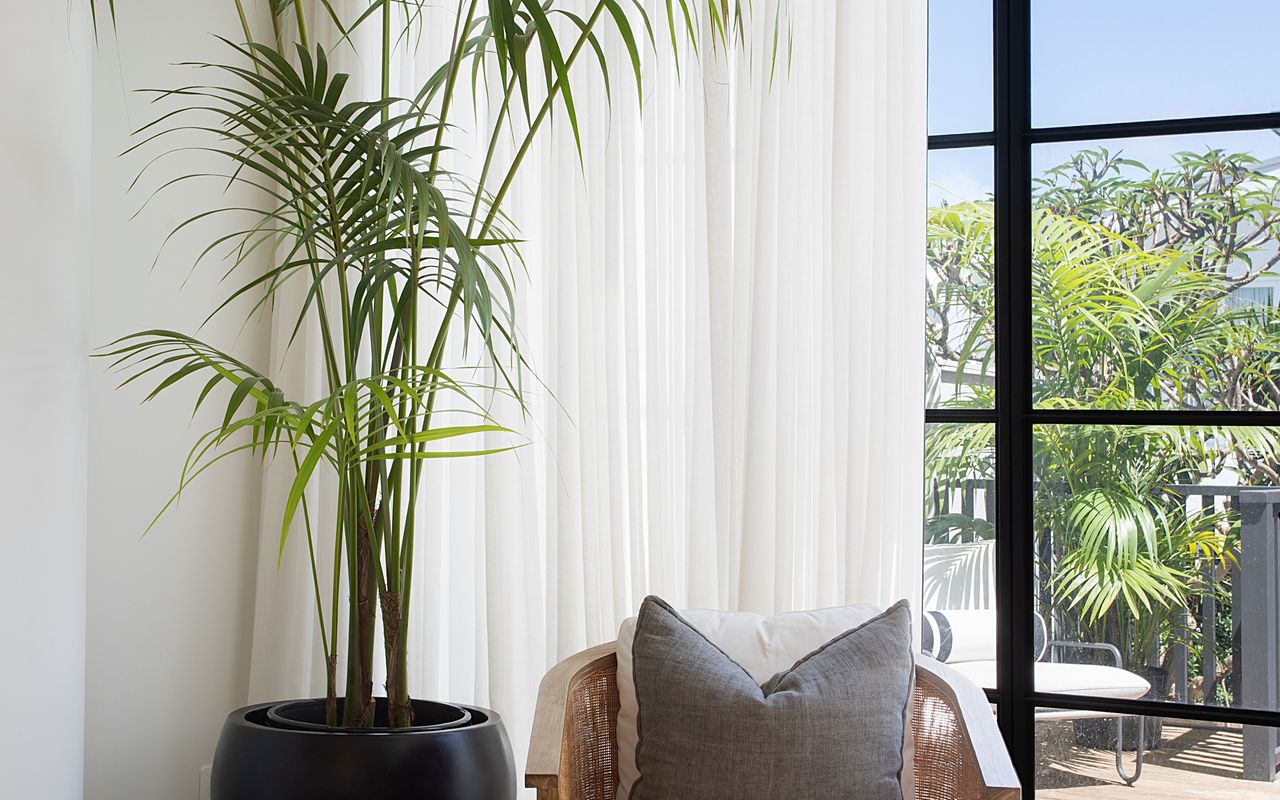 North Bondi Oasis IH