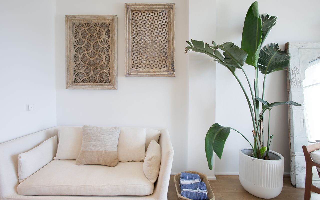 Drift House, Curl Curl ISYD
