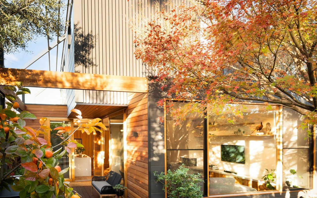 Garden Footscray Oasis VIC