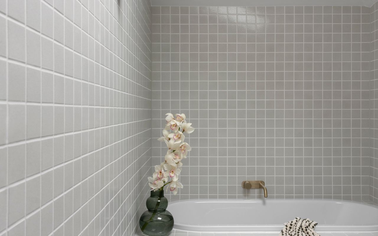 Balmain Enclave ISYD