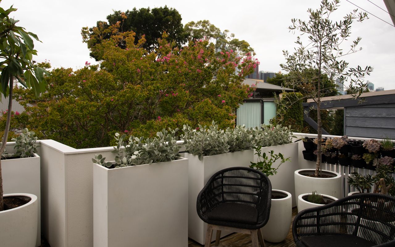 Balmain Enclave ISYD