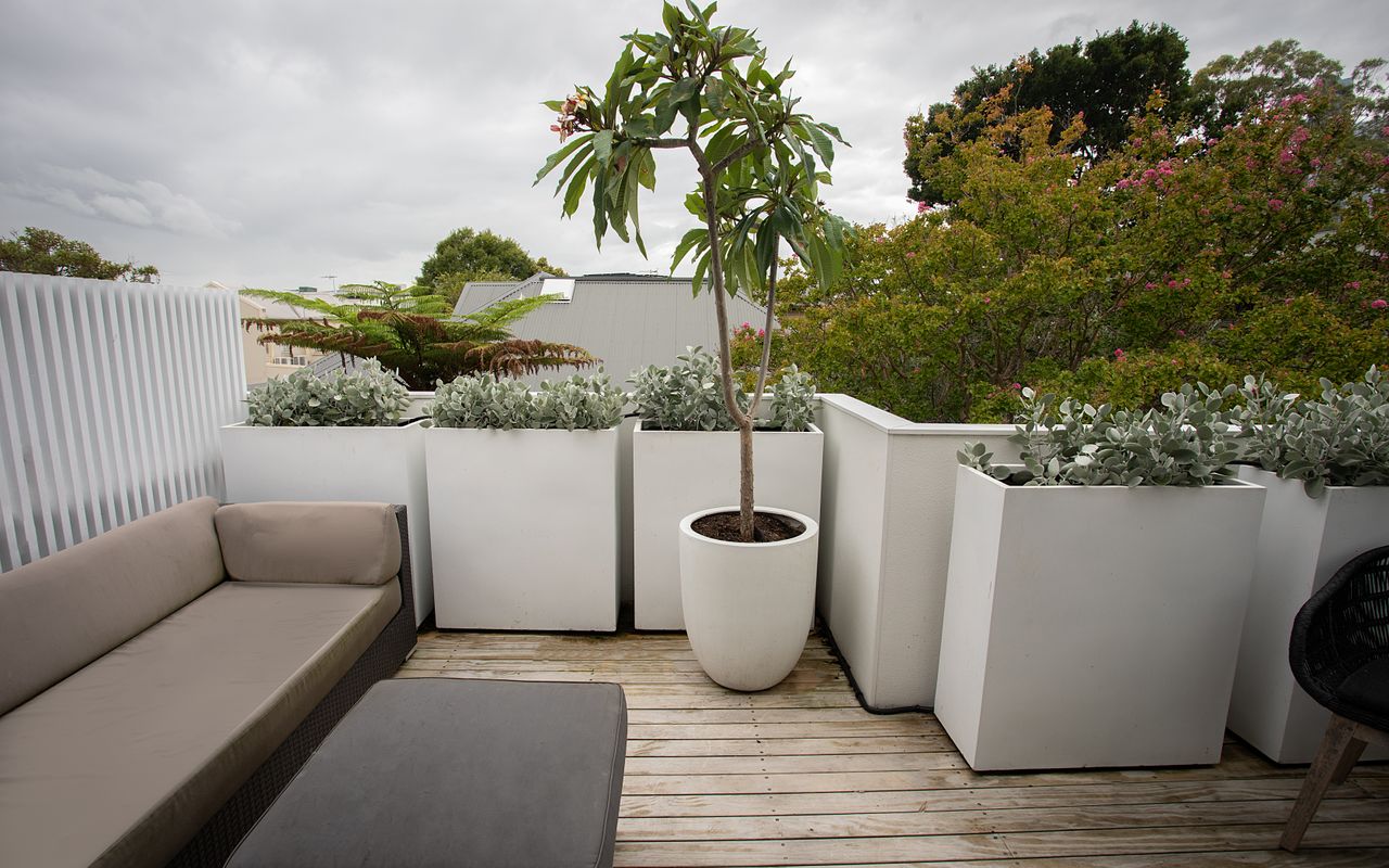 Balmain Enclave ISYD