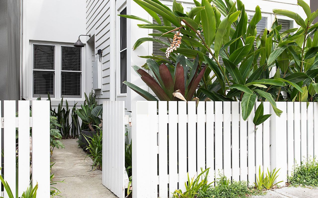 The Paddo, Paddington