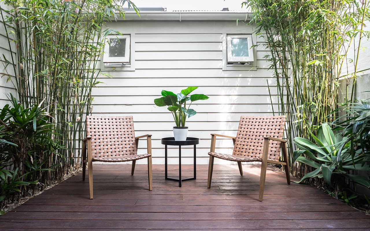 The Paddo, Paddington