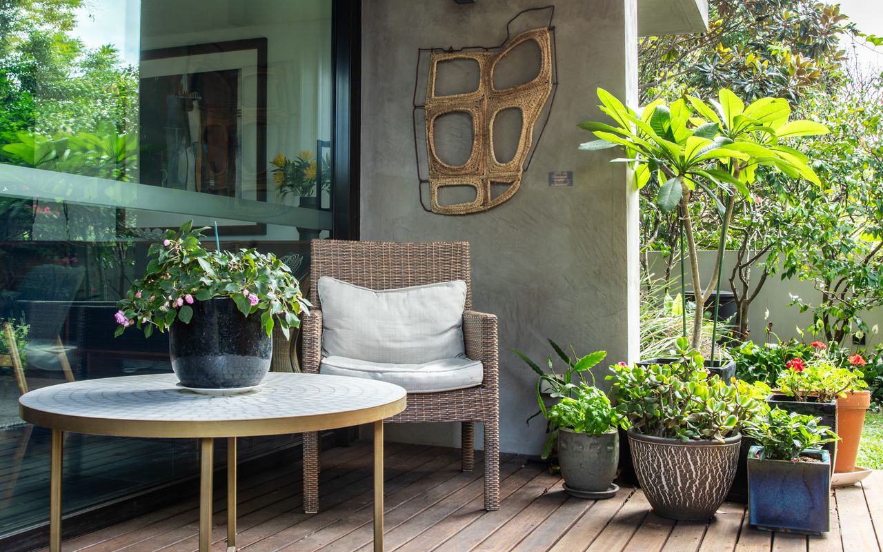 Canopy, Double Bay I90