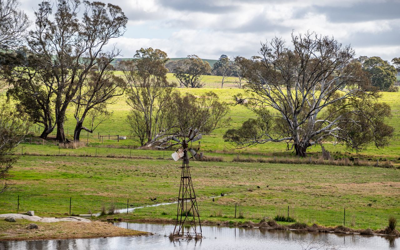 Mollison Park Farm