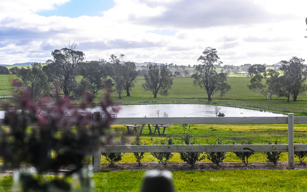 Mollison Park Farm